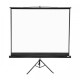 Apollo 96”x96” Tripod Projection Screen